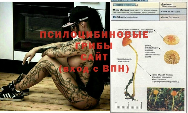 молекула духа Алексеевка